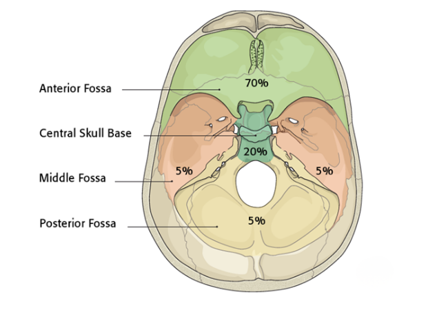 Lateral Skull Base