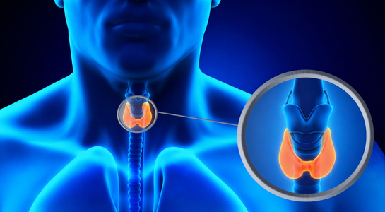 Thyroid Surgery